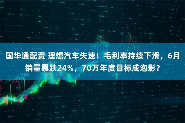 国华通配资 理想汽车失速！毛利率持续下滑，6月销量暴跌24%，70万年度目标成泡影？