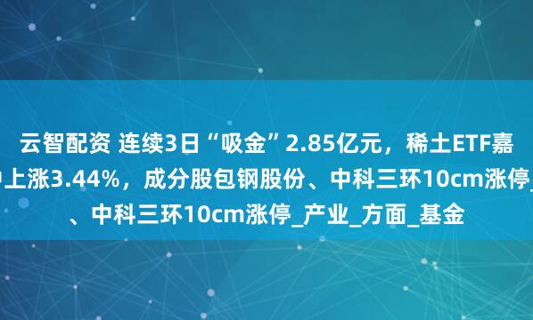 云智配资 连续3日“吸金”2.85亿元，稀土ETF嘉实(516150)盘中上涨3.44%，成分股包钢股份、中科三环10cm涨停_产业_方面_基金