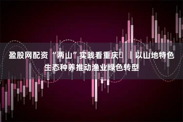 盈股网配资 “两山”实践看重庆⑭｜以山地特色生态种养推动渔业绿色转型
