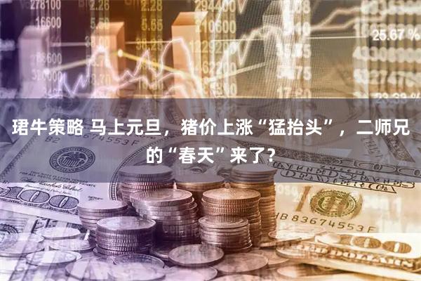 珺牛策略 马上元旦，猪价上涨“猛抬头”，二师兄的“春天”来了？