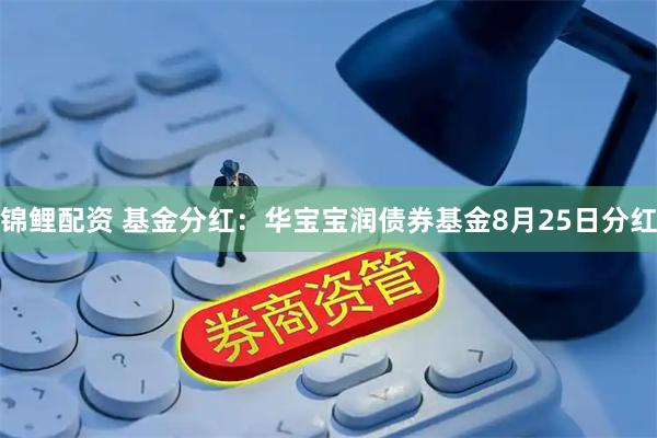 锦鲤配资 基金分红：华宝宝润债券基金8月25日分红