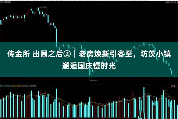 传金所 出圈之后②｜老房焕新引客至，坊茨小镇邂逅国庆慢时光